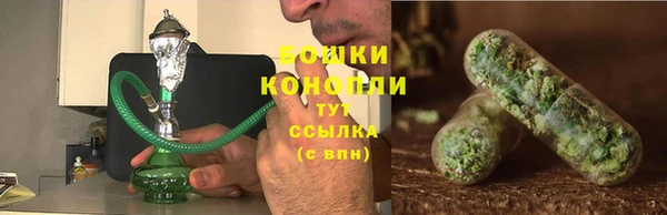 ALPHA PVP Ельня