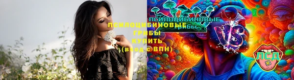 бутират Елизово