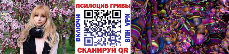 Купить закладки Осинники Псилоцибиновые грибы Cubensis